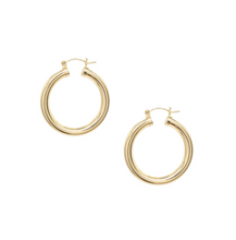 Load image into Gallery viewer, Chunky Monkey Hoop Earrings