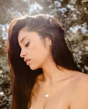 Load image into Gallery viewer, Double Orbital Hoop Earrings